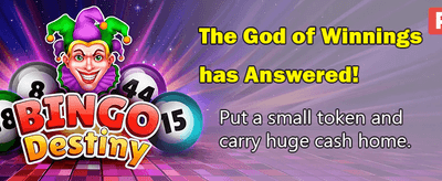 Win Big with Casino 500
